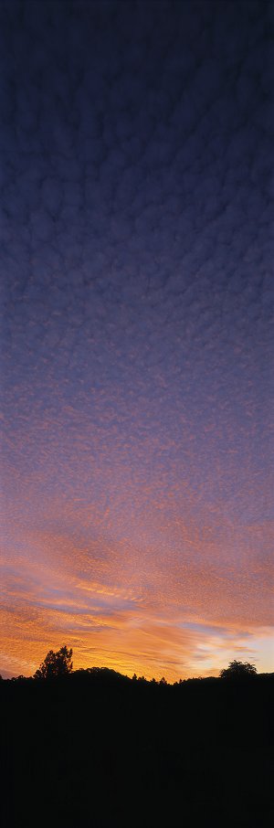 Marbled Sky