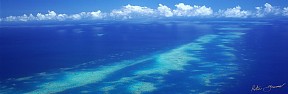 Reef Magic (Panorama)